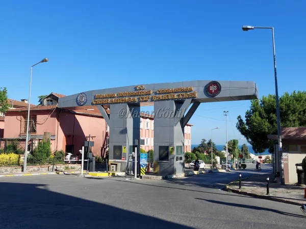 İstanbul Üniversitesi-Cerrahpaşa (Cerrahpaşa Tıp Fakültesi)